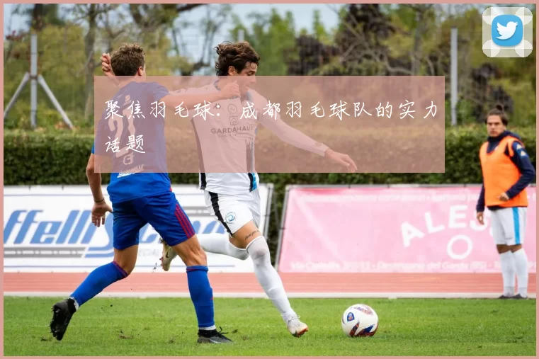 聚焦羽毛球：成都羽毛球队的实力话题