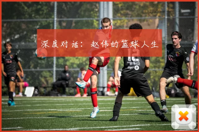 深度对话：赵伟的篮球人生