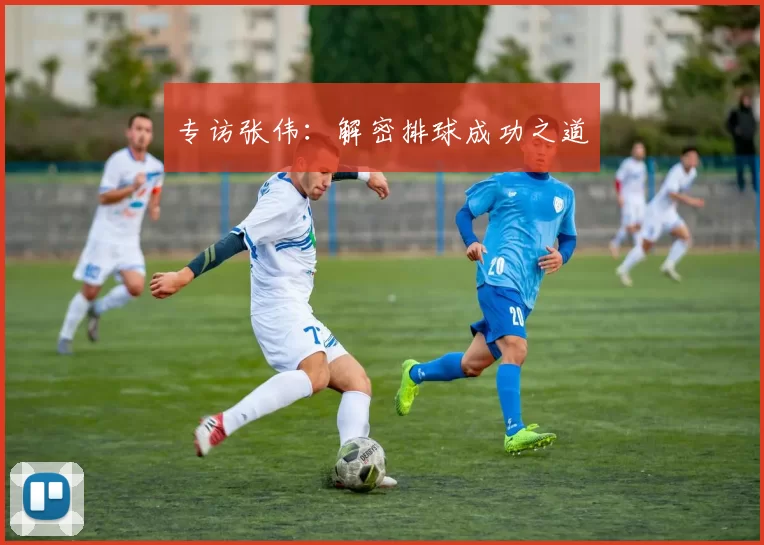 专访张伟：解密排球成功之道