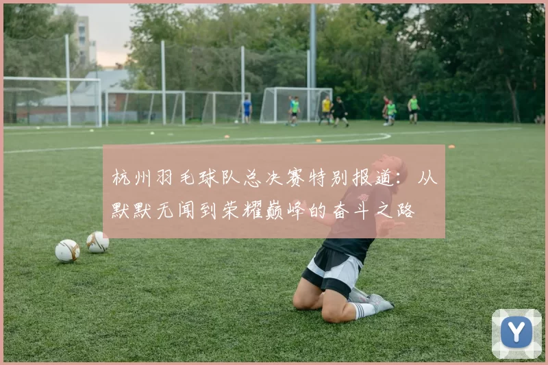 杭州羽毛球队总决赛特别报道：从默默无闻到荣耀巅峰的奋斗之路